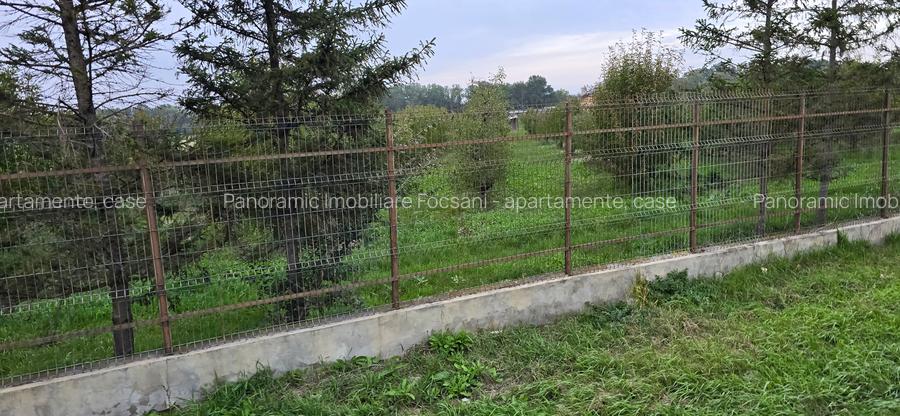 LIVADA  DE VANZARE FOCSANI-DUMBRAVITA  1,8  HA - 3