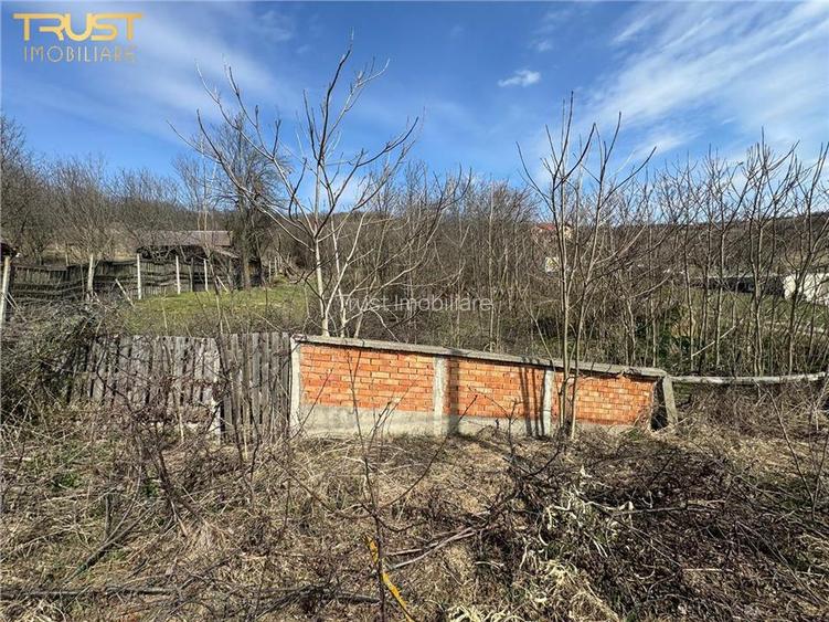 Teren Parcelabil I 11400 MP I Corpadea - 12