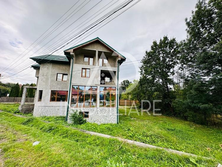 Vânzare vilă / pensiune situată în Comuna Baia de Fier - 2