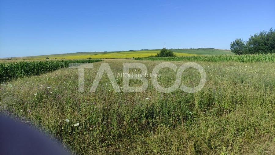 Teren extravilan de vanzare 25920 mp in Sura Mica Sibiu - 6