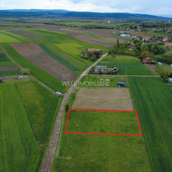 Teren intravilan de vânzare în Dobolii de Jos! - 4