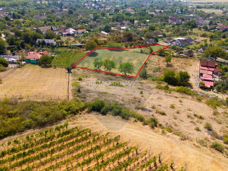 Miniș- destinația ideală pentru o resedință de lux în inima naturii. - 3