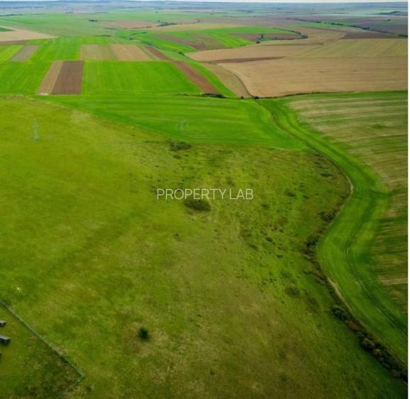 Teren agricol 5ha Giarmata langa Antena Radar - 5