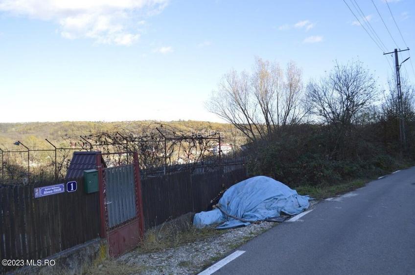 Babana - Centru - Primarie, Teren intravilan 13742 mp! - 12