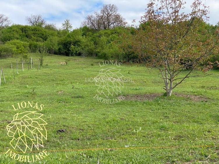 Teren Extravilan - Ghinda - 3.5000mp-Parcelabil - 5