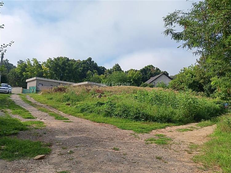 Bucium langa Motel TEREN 1650mp intravilan toate utilitatile acces dublu - 4