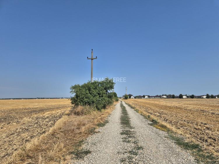 Teren intravilan 4428 mp - Balotesti - 3