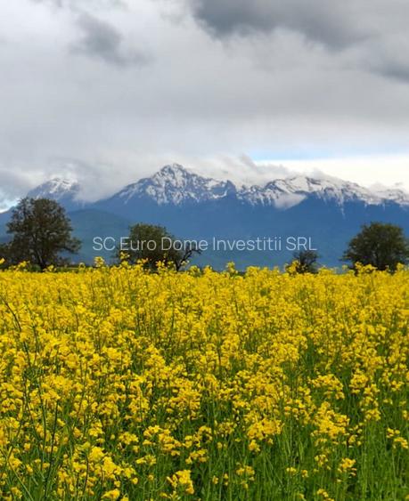Teren cu utilitati  si acces usor spre Brasov - 4