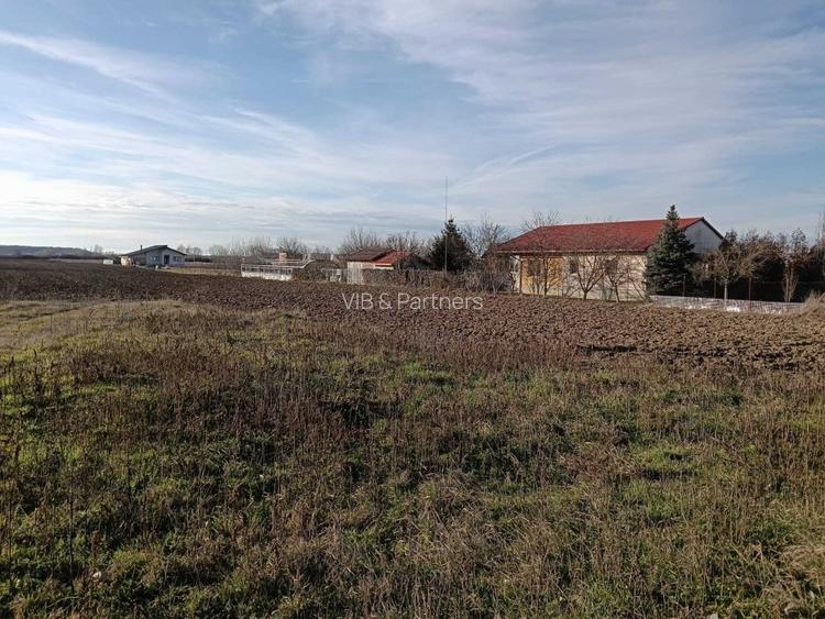 Teren intravilan investitie, Bucovat - 5