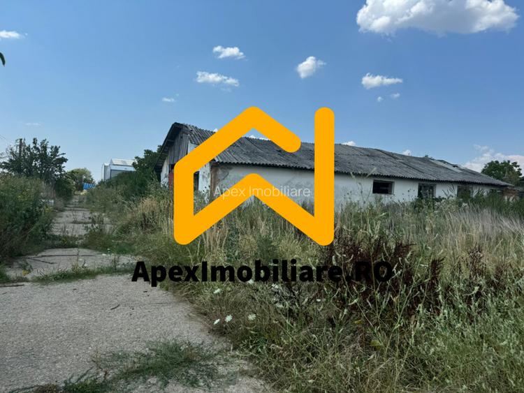 Hale Industriale de Vânzare Baicoi – 1100 mp + 800 mp, teren 5500 mp - 8