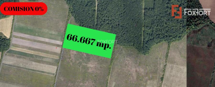 COMISION 0% Teren extravilan Mosnita in zona de Padurea Bistra - 66.667 mp - 2