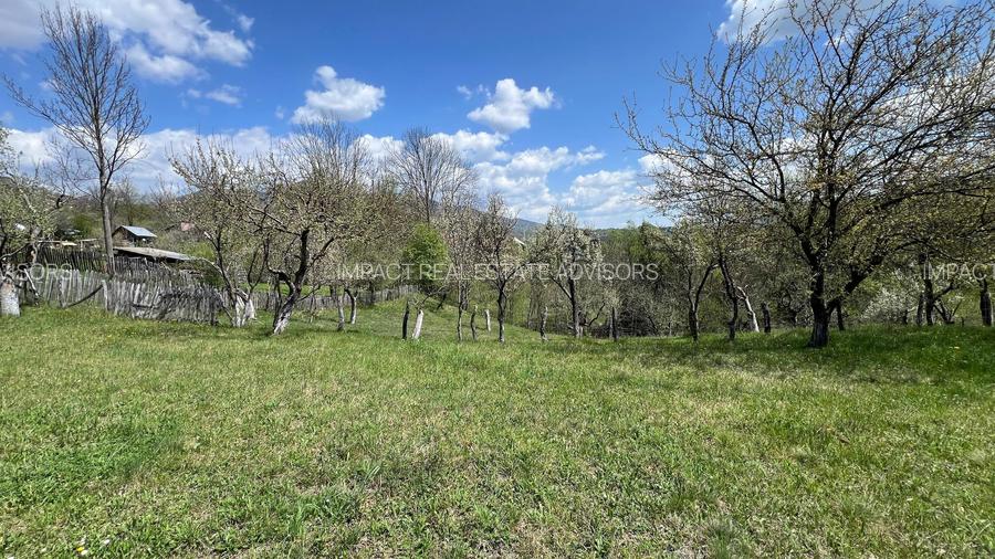 Conac 10 camere | renovat integral | Arefu | Baraj Vidraru - 8