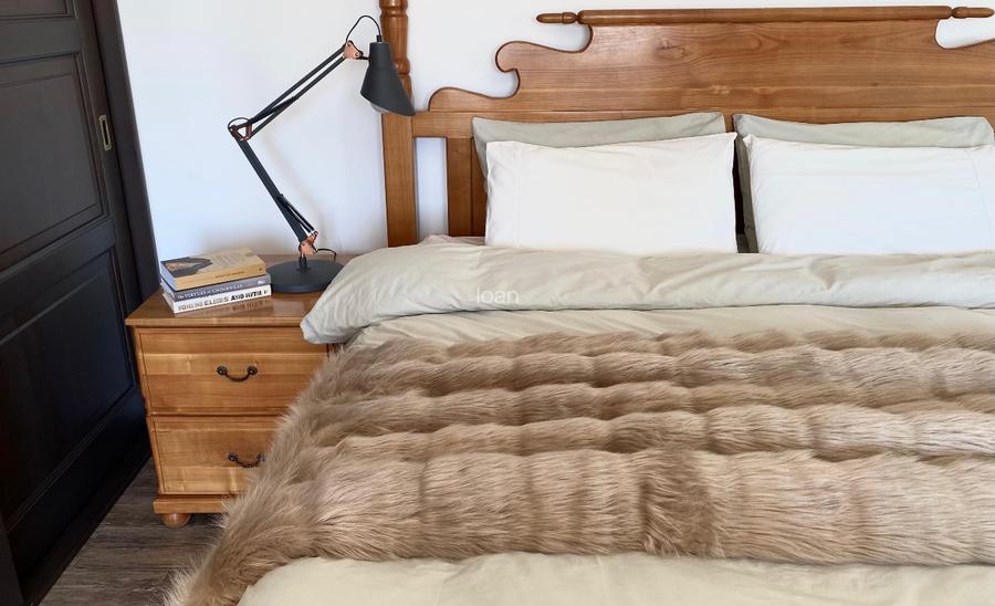 Proprietate pe stradă privatǎ, complet mobilată, curte matură, terasă  - 12