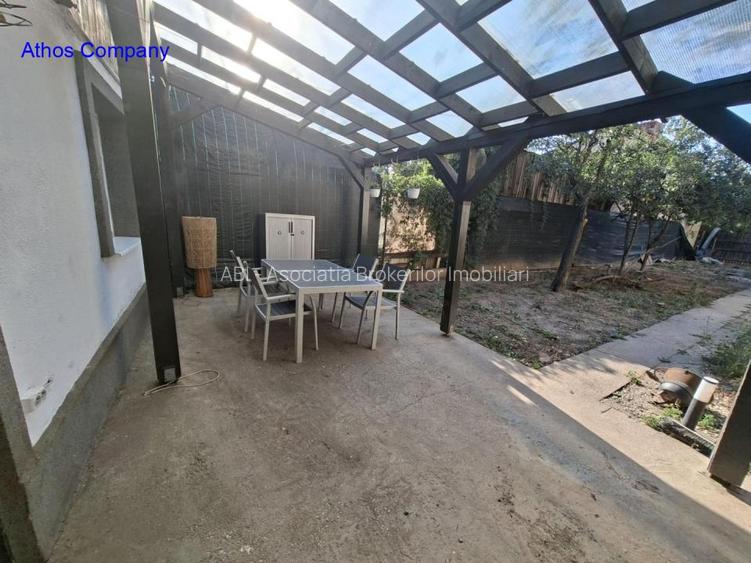 Bdul Ion Mihalache- Pta Chibrit - 3