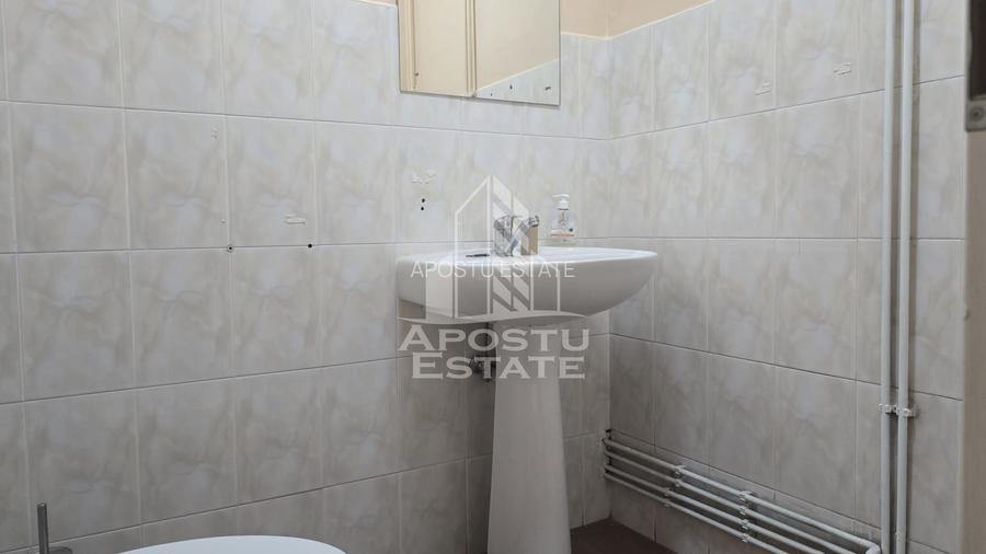 Spatiu comercial SAD, 250 mp, Iosefin - 13