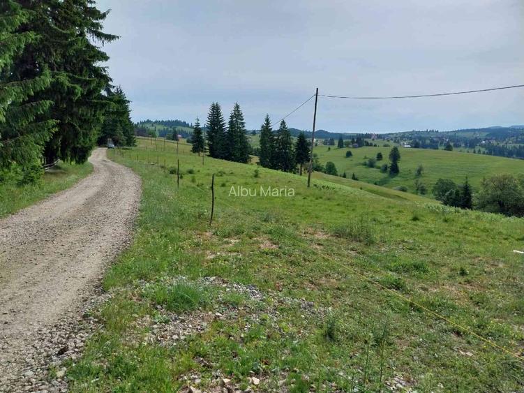 De vânzare! Parcele în Piatra Fântânele, BN, pe Drumul Romanilor, locația OPCIOA - 8