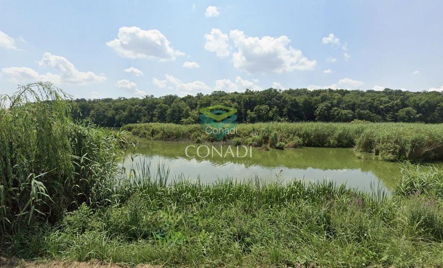 Teren 800mp Vadu Anei | Branesti | Langa Lac si Padure | Rezidential - 7