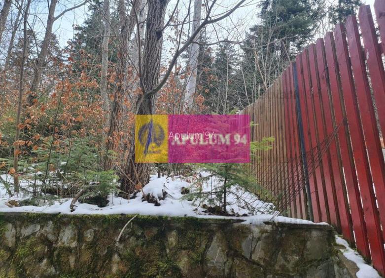 Vilă de vânzare in Sinaia - Zona Cumpătu - 10