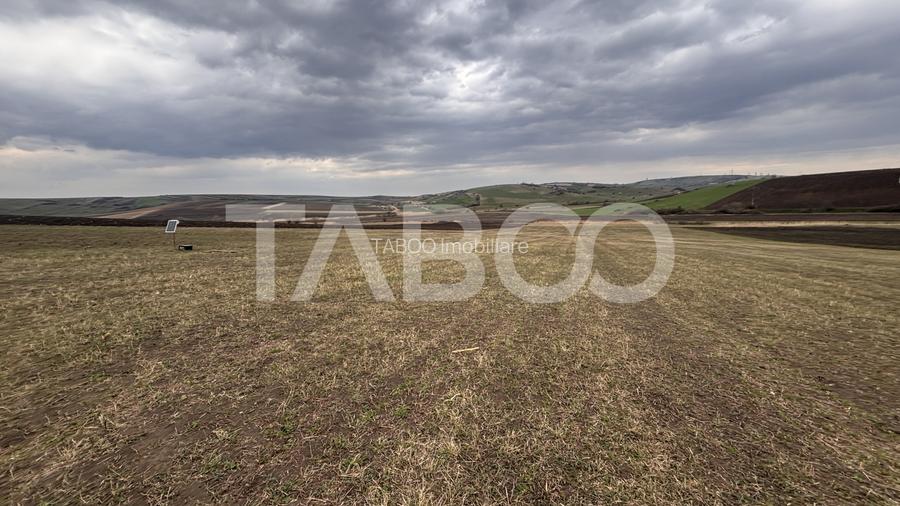 OPORTUNITATE INVESTITIE Teren de vanzare Sura Mare 24000 mp - 4