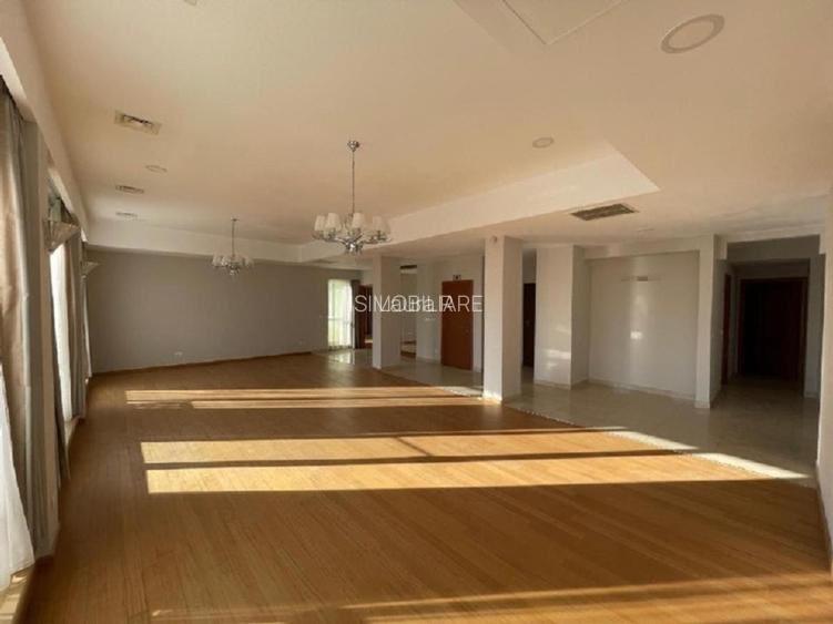 Penthouse Herastrau 4 camere lux , 215 mp utili +110mp terasa - 4