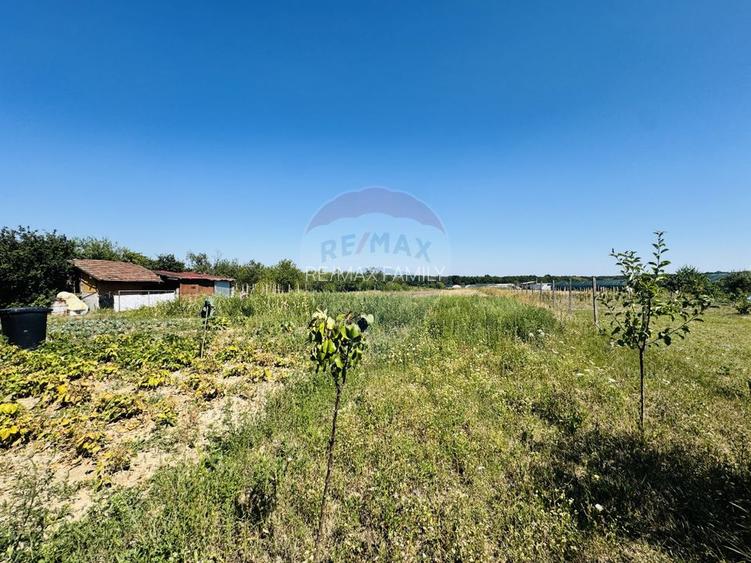 Teren 6,210mp Apateu / Strada Principala - 23