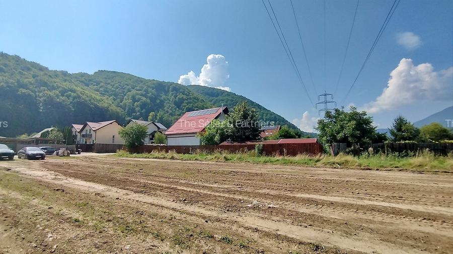 Teren Intravilan Bunloc - 9