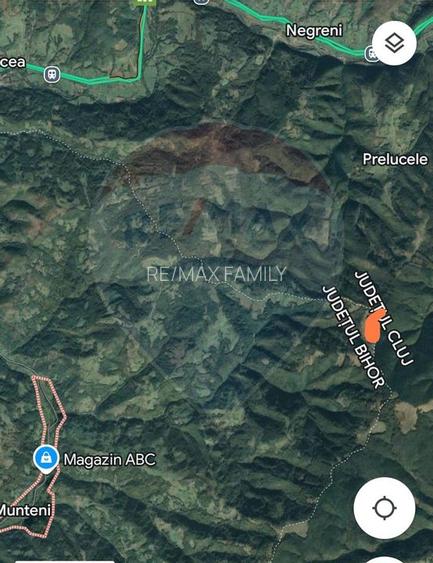 Teren 130000 mp extravilan, faneata si padure, Munteni - Bulz, Negreni - 6