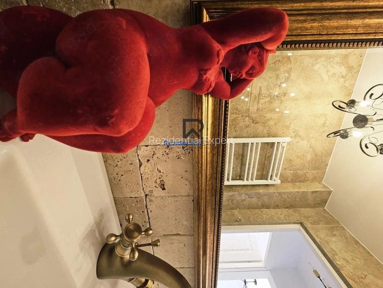 Apartament 2 camere Piata Victoriei - Dr. Iacob Felix - 8