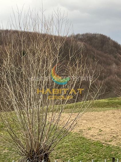 Teren intravilan cu apa/curent 5€/mp Corbeni-Arges - 2