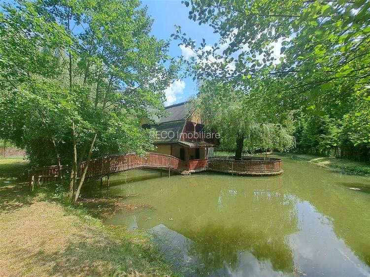 RECO, Cabana pe apa in Padurea Neagra, Bihor - 7
