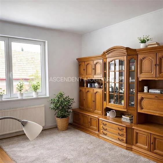 Casa in apreciabil potential,cu terase, curte,gradina echipata,2 pivnite,Str. Ro - 7