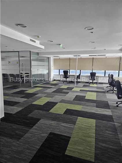 Spatii Birouri - 500 la 3500 mp - Parcul Sub Arini - 10