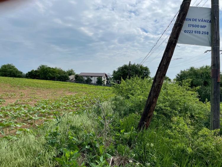 Teren Piscu intravilan,12500 mp, 15 euro mp, 30 m deschidere, toate utilitatile - 6