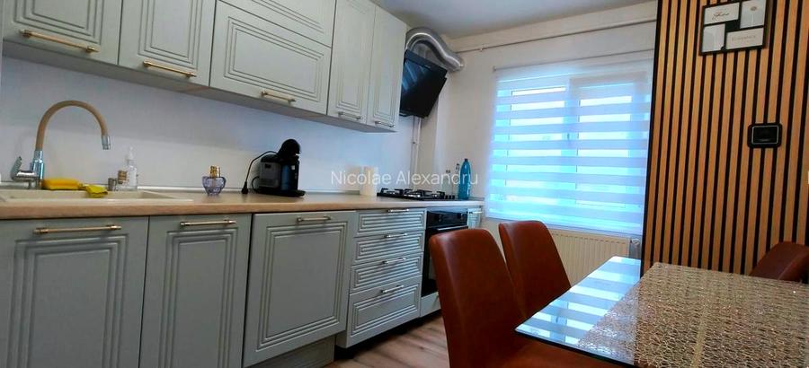 Proprietar, ap 3 Dormitoare, mall Afi, Centrul Civic - 13