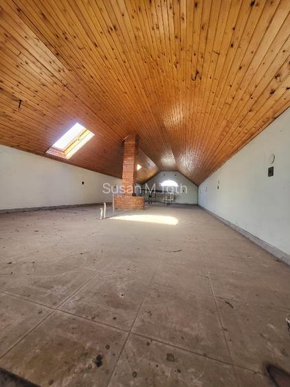 Domeniu premium aproape de granița româno-ungară –în Battonya - 6