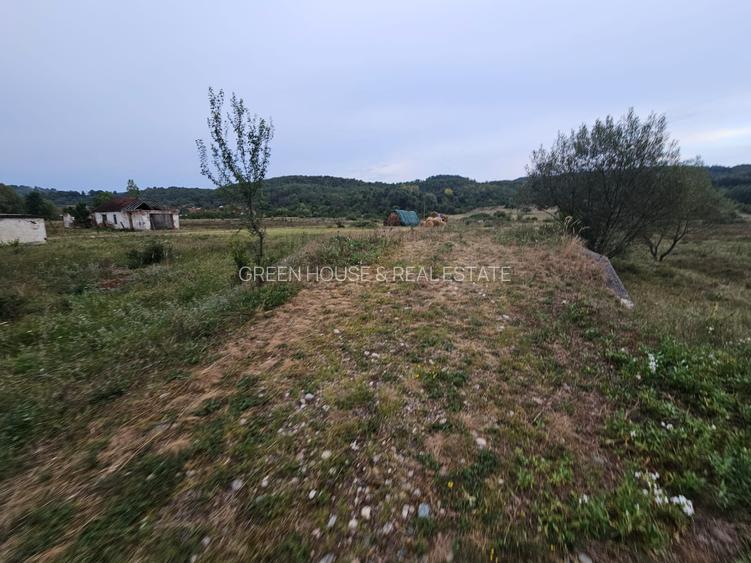 Teren localitatea Balata - 3