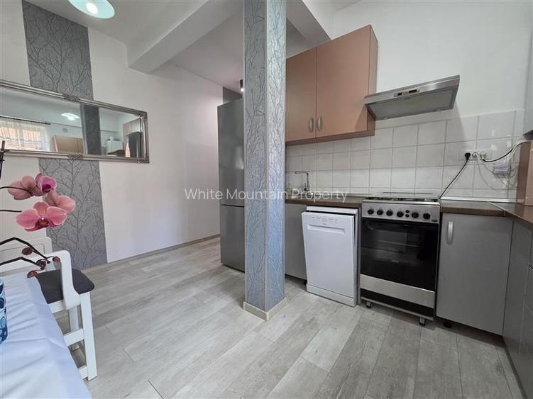 Apartament spatios de inchiriat Dealul Cetatii - 29