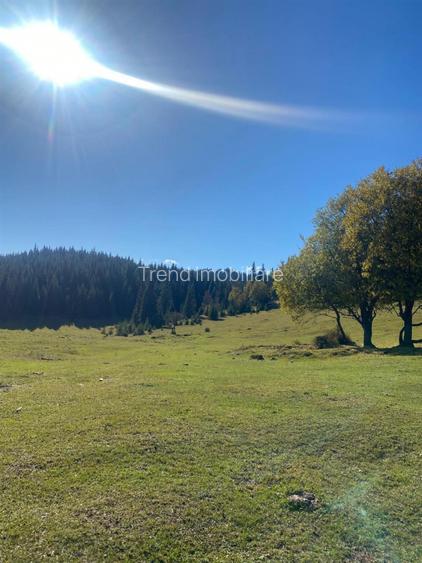 Teren extravilan la Poiana Horea - Belis - 16.000 mp - 3