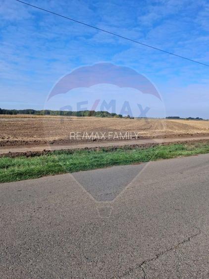 Teren 21,177mp Santaul Mic / Strada - - 4