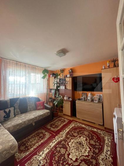 Locuinta in Ticu-Colonie (Casa de vacanta la un pret corect!) - 6