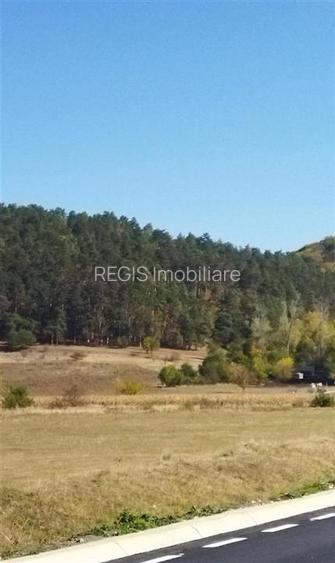 Teren Sanpetru 900mp Lempes - 4