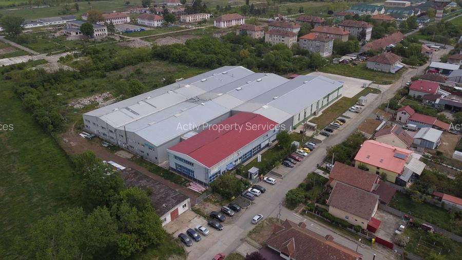 Hală producție/ depozitare de inchiriat Buziaș, Timiș - 4