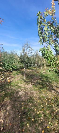 Vand casa cu teren de 1753 mp in Prejmer - 6