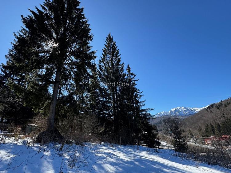 Teren PREDEAL CLABUCET 1664m2 cu asfalt, utilitati si VIEW - 8