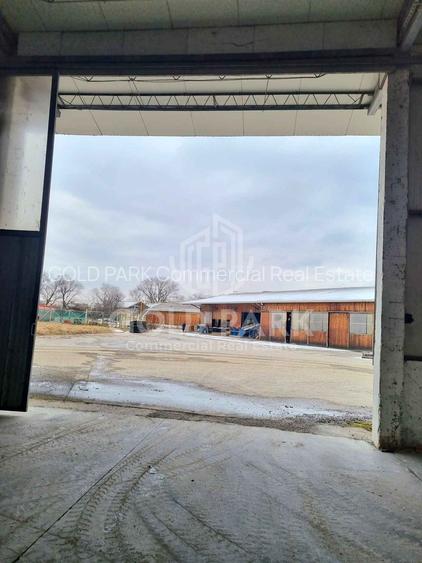 Spatiu Industrial/Depozit - Zona Calea Baciului - 575 mp Open Space - 6