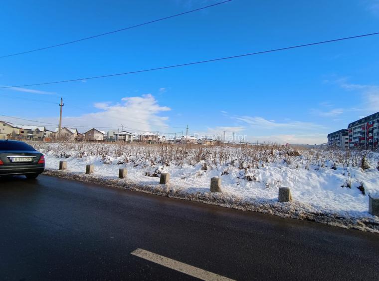 Teren de vanzare sau inchiriere Chiajna/ perfect pentru casa - 2