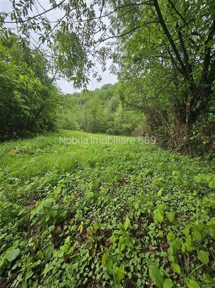 TEREN  PENTRU BUSSINESS 2842 MP DE VANZARE IN STATIUNEA  TARGU OCNA - 3