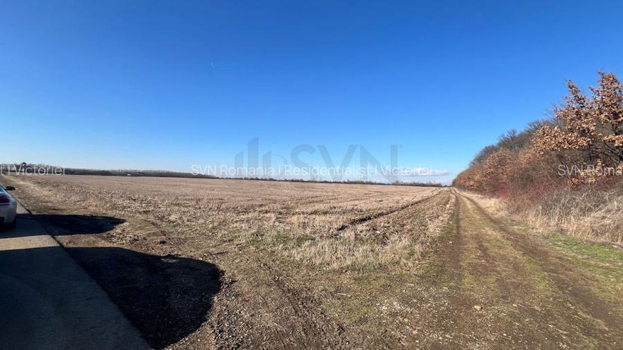 REL4000892 Corbeana - Ostratu 15200 mp langa padure - 3