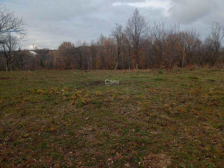 Vând teren intravilan 4062 mp - 12