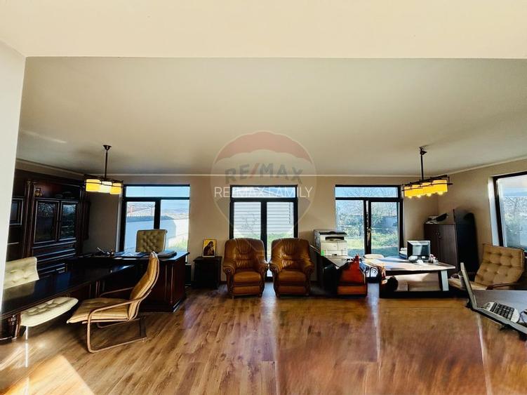 Casă / Vilă  stil mediteranean in apropiere de Oradea - 10